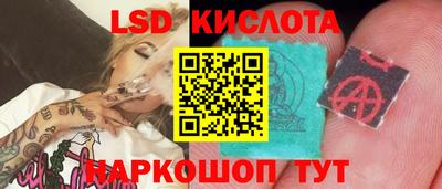 прущие крисы Будённовск