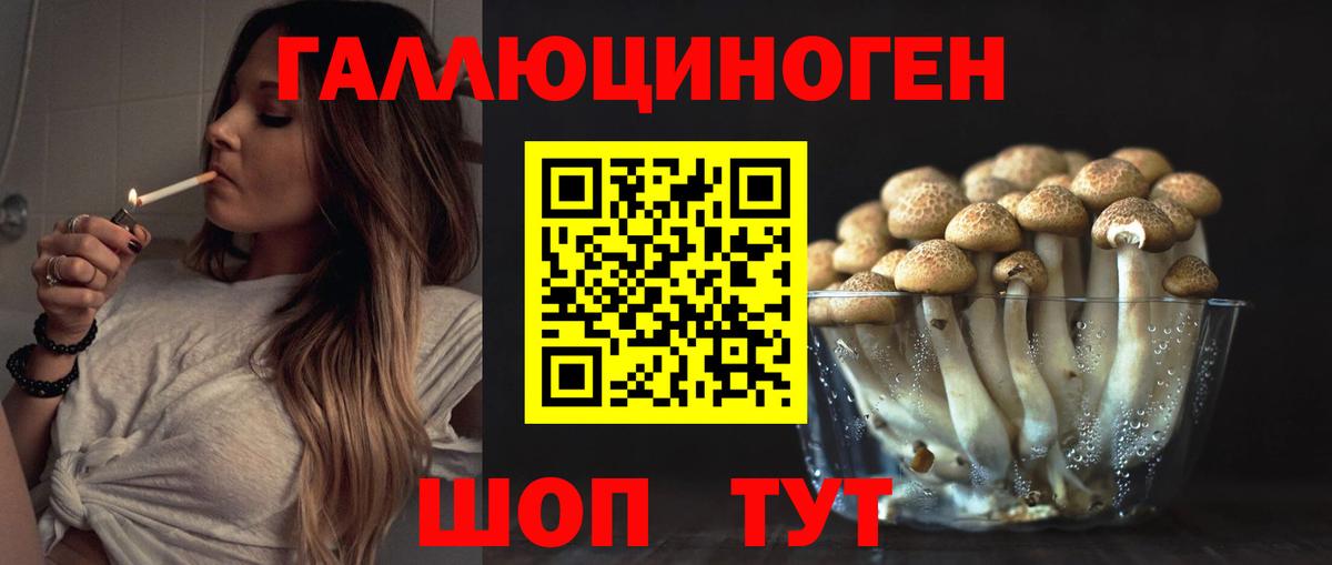 Псилоцибиновые грибы MAGIC MUSHROOMS  Псилоцибиновые грибы Psilocybe  Вход с VPN  Химки 